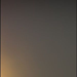 Meet your Posher, Sophia